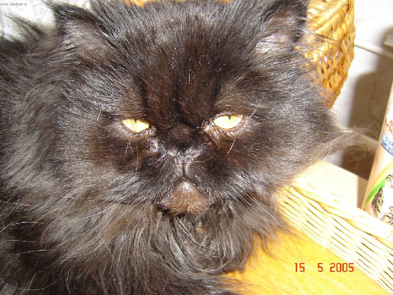 Foto: Hugo-Odpočinek