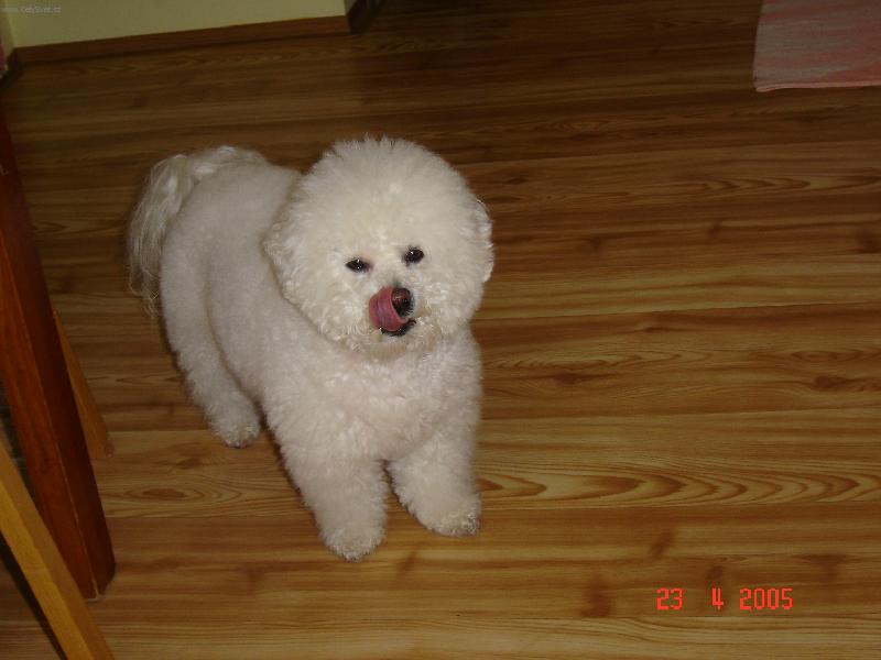 Foto: Arkinka-Mňam mňam to byla dobrůtka