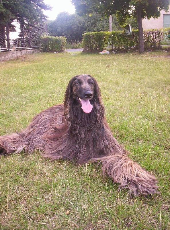 Foto: no jo na procházce-Cidinka