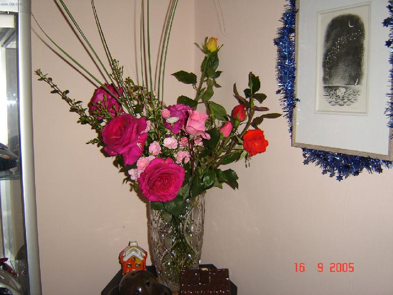 Foto: Růže-Krásný dárek k narozeninám