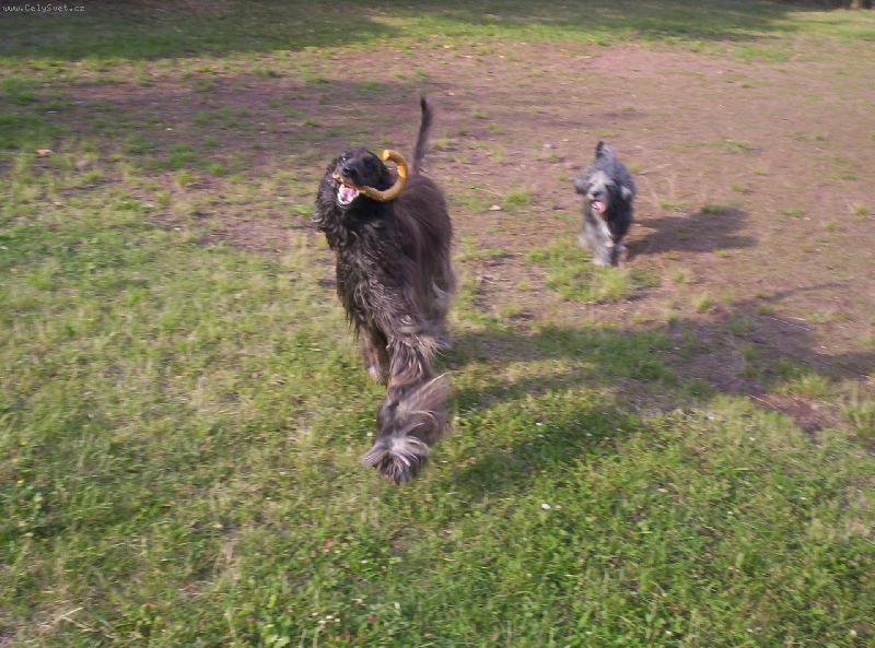 Foto: ááá Cidinka dostala klacíček-a nedám:o))