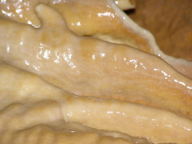 Foto: Koněpruské jeskyně