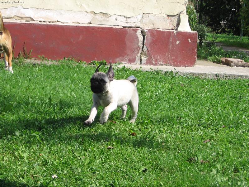 Foto: Létající Johny:-)