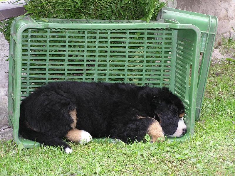 Foto: Tak tady spím nejraději.