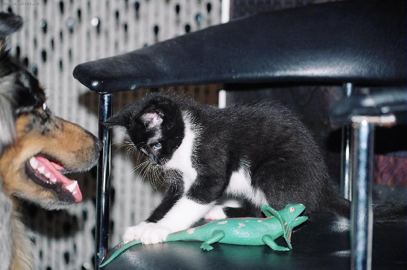 Foto: Vidis, mam ho!