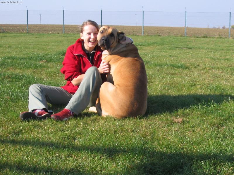 Foto: naše zlatíčka-naše zlatíčka