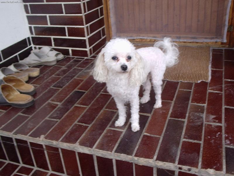 Foto: Zorča-když se vykoupu