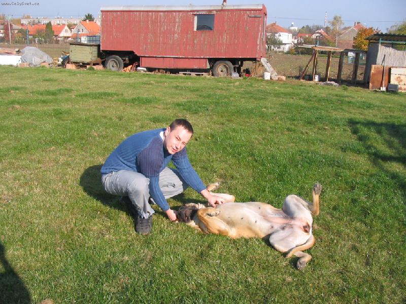 Foto: fenka Cori-pořádně podrbat