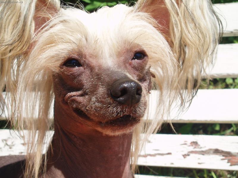 Foto: Úsměv prosím