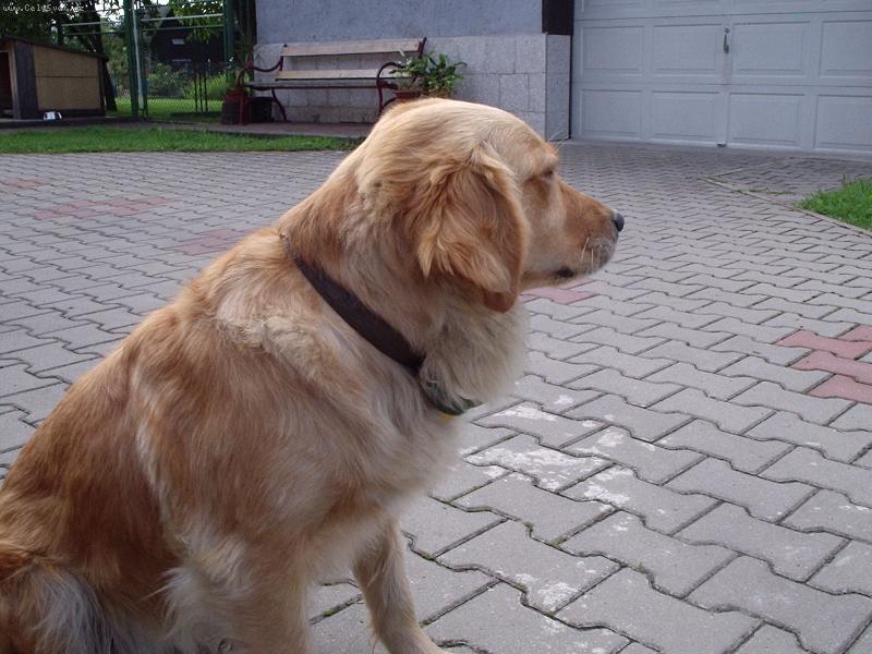 Foto: Viktorka-Odmítám se fotit!!!