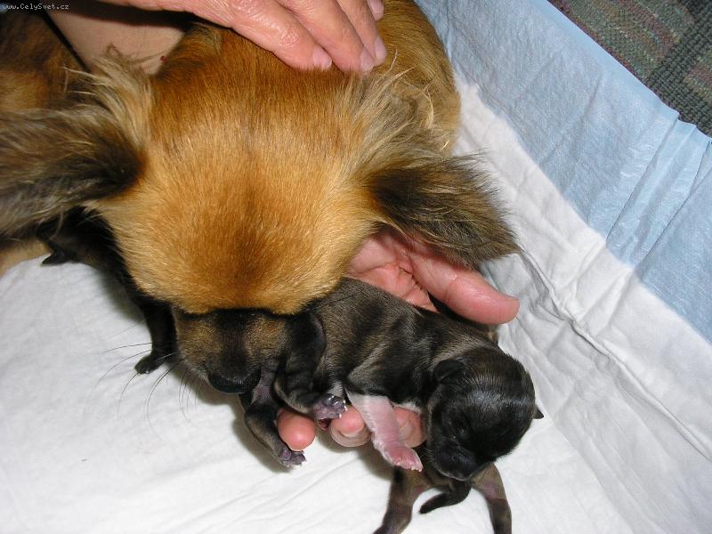 Foto: Deset minut na světě !