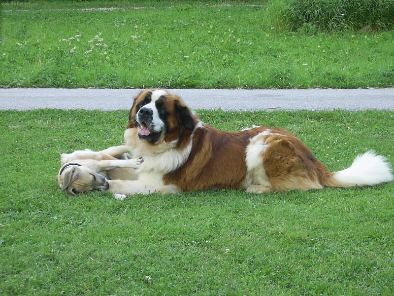 Foto: Bucci-Snad by jsi se nechtěl prát.... ?