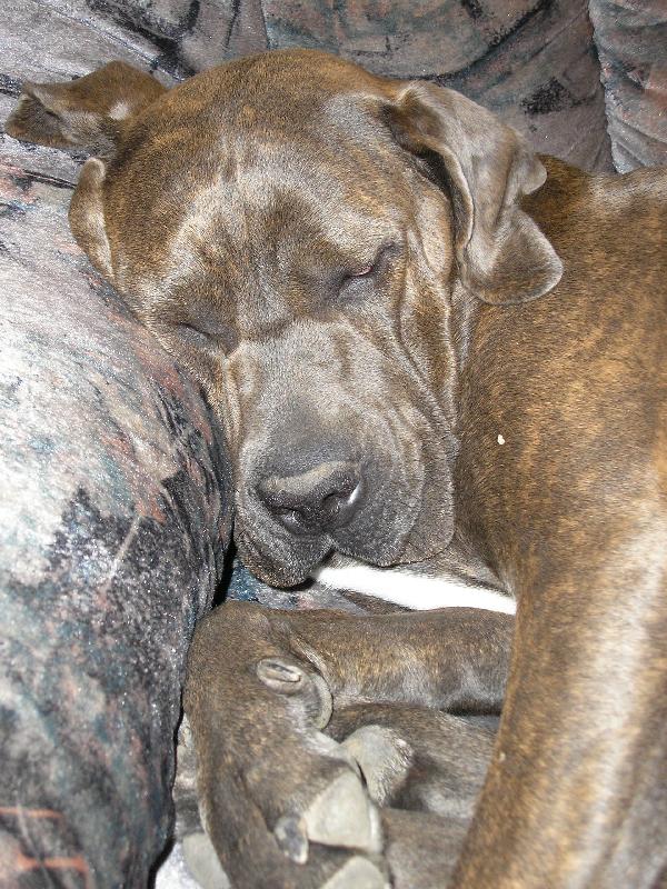 Foto: Sladké sny-"Malá" Cassie sladce spinká