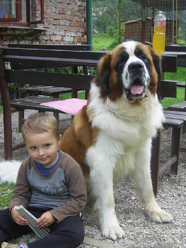 Foto: Bucci a Pepča-Nerozlučná dvojka