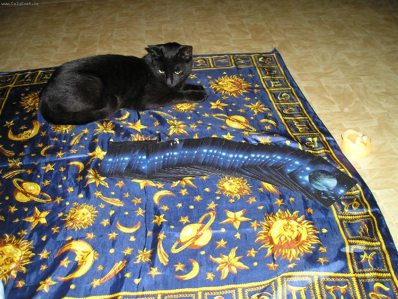 Foto: Čekání na výklad budoucnosti-Tak jaká je má budocnost?