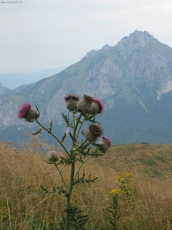 Foto: Krásný vzhled je na ten boží svět...2-Malá Fatra