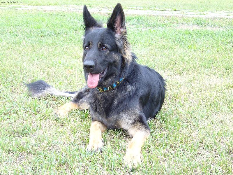 Foto: Rituška-Rituška