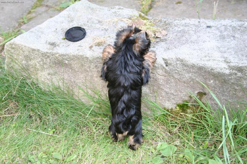 Foto: Lady-ach,ta moje zvědavost