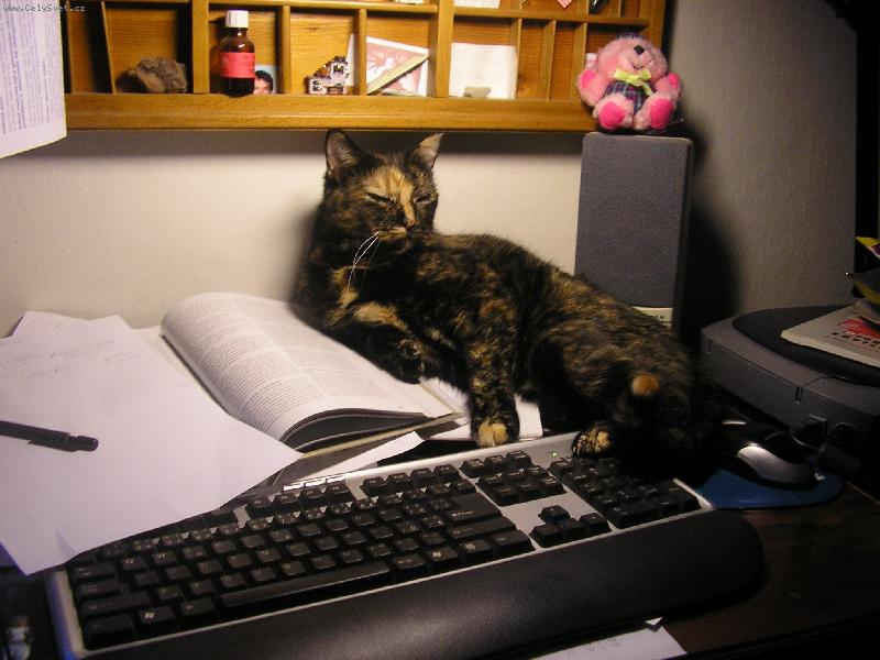 Foto: Paní Norisová