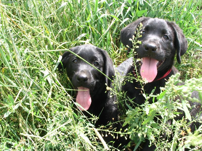 Foto: Nerozlučná dvojka-prozatím-Barunka a Samuel