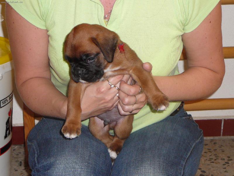 Foto: Naše nové miminko-Akime 28 dní