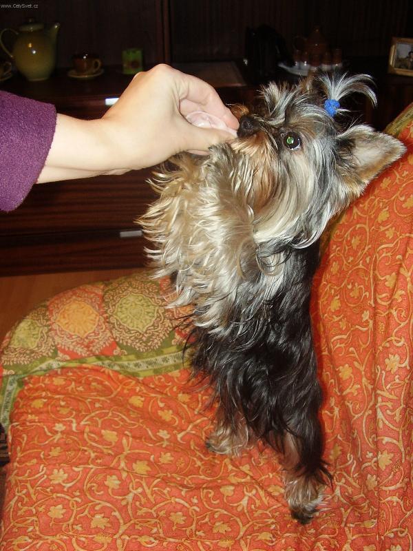 Foto: Rozárka-tak už pusť tu šunku!!