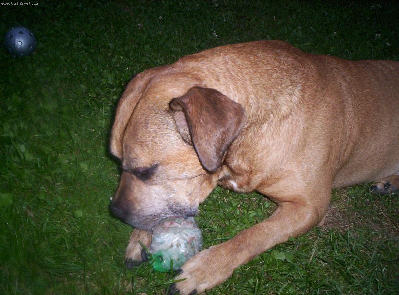 Foto: lukánek-to je moc dobré...