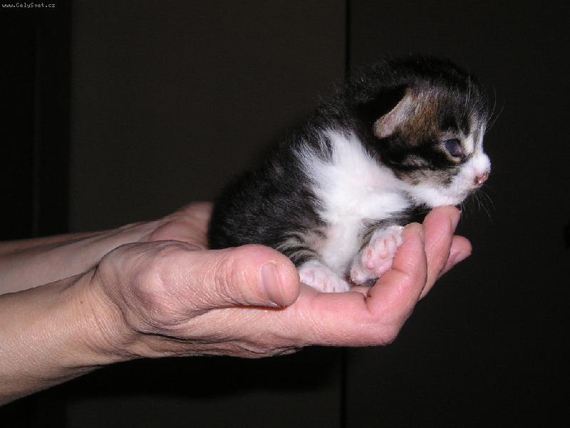 Foto: A to mám mít 10 kilo !!!