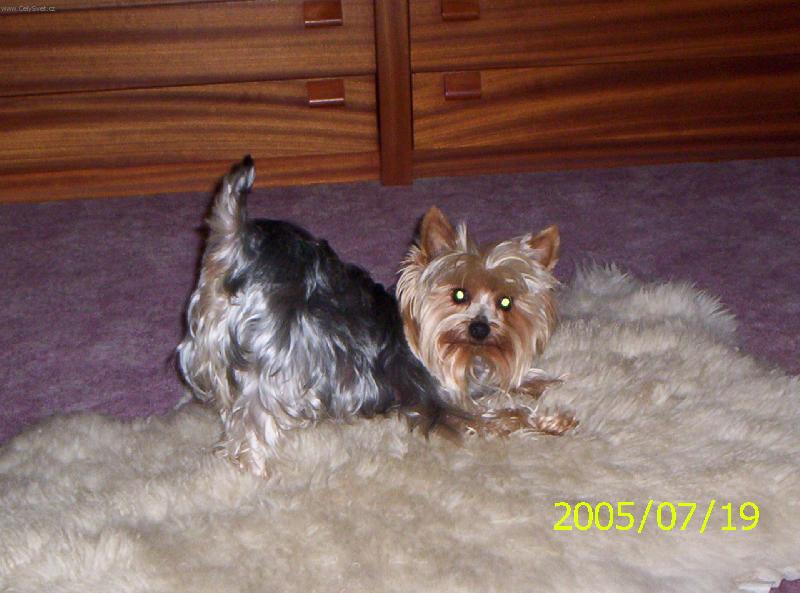 Foto: Pojď si hrát