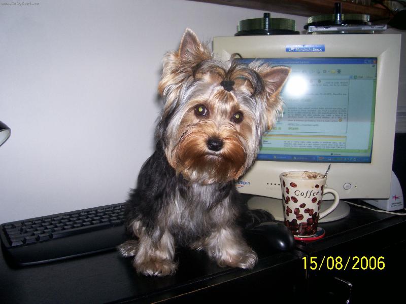 Foto: To mám kukadla....