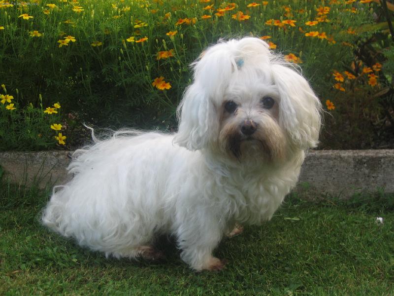 Foto: Johny-mazlicek :)