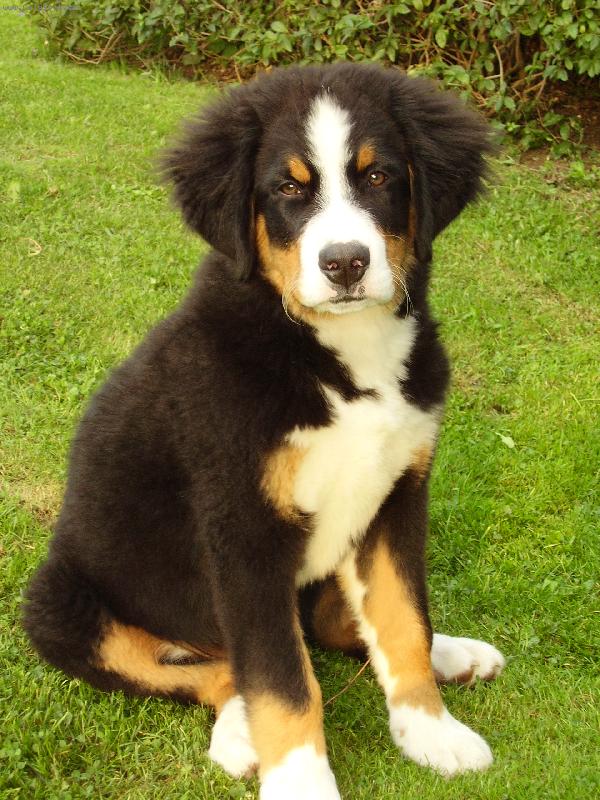 Foto: Fote čekám! :)