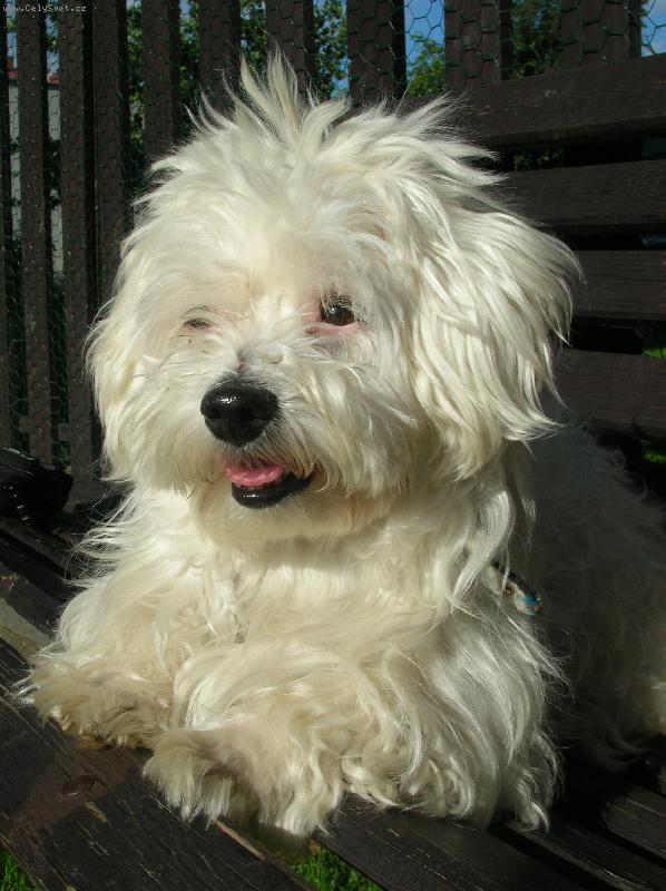 Foto: Montík-Naše malá špindíra