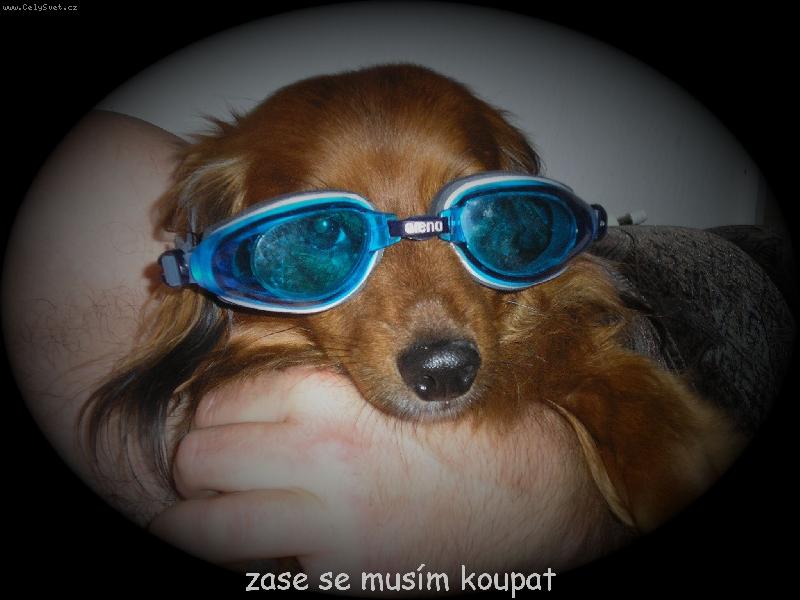 Foto: před koupáním-ferda