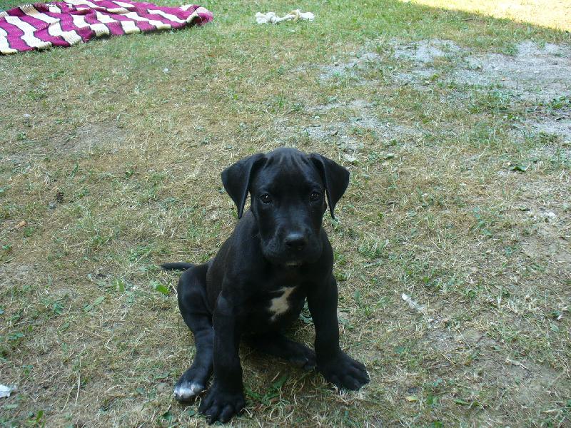 Foto: Hádes-Neviniatko