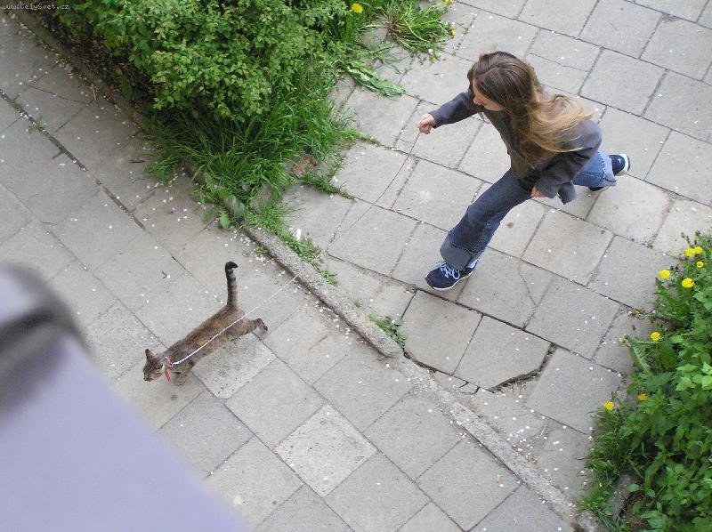 Foto: Venčení........