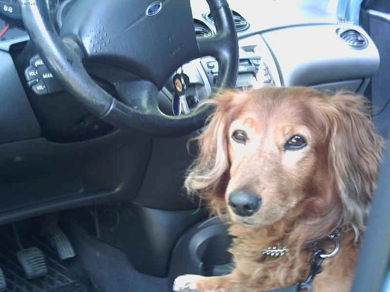 Foto: Teď už mě neujedou