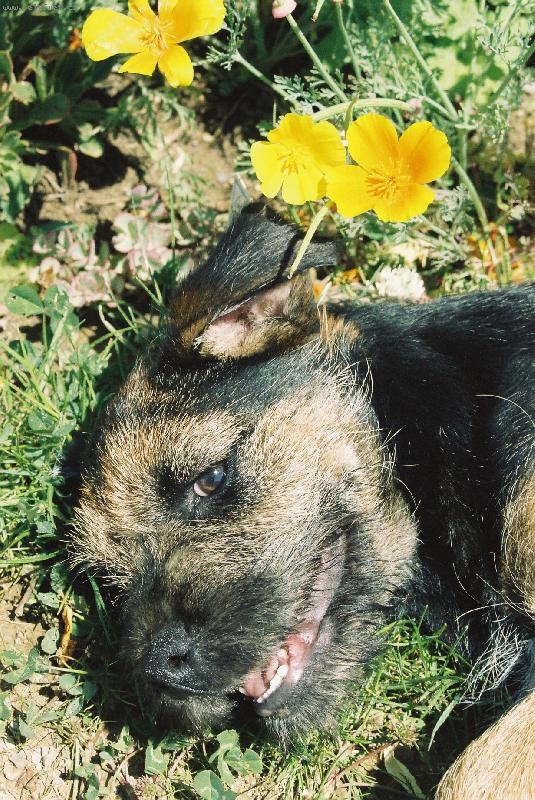 Foto: ...POJĎ SI HRÁT