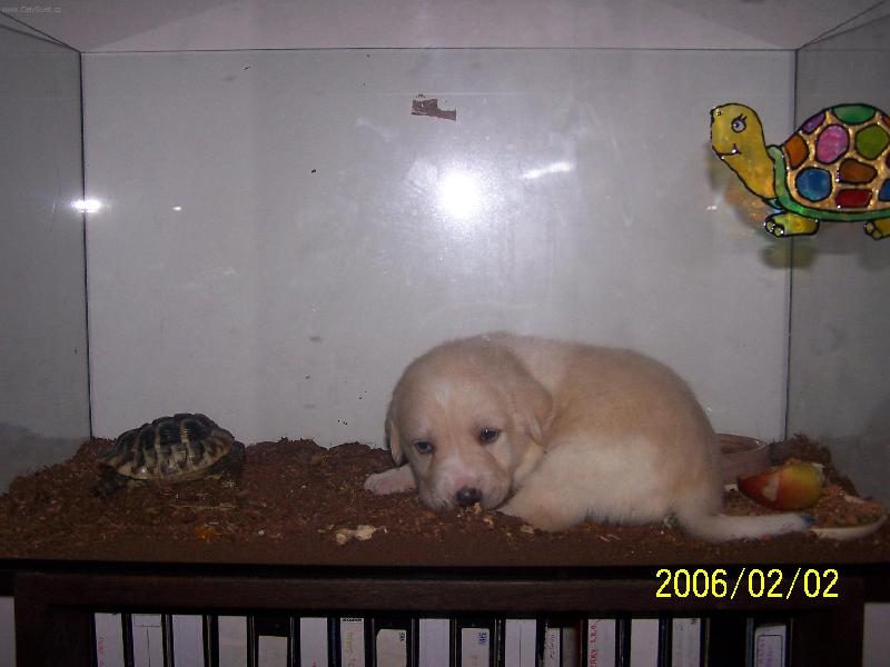 Foto: Tohle ale není máma...