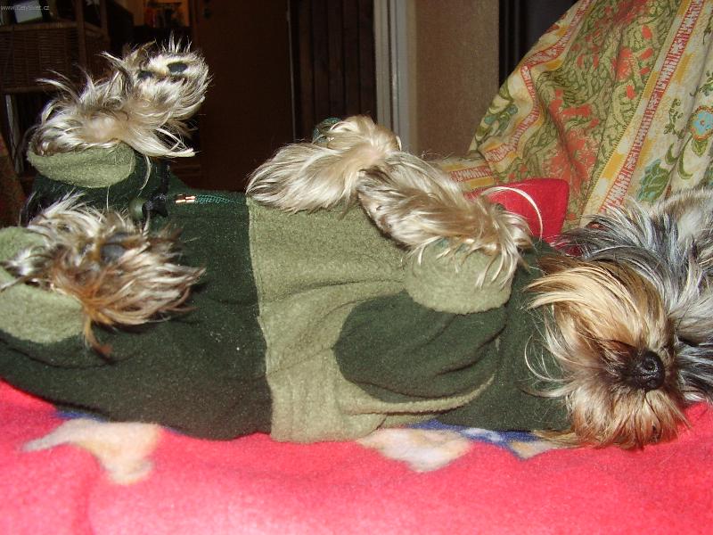 Foto: Rozárka-poloha