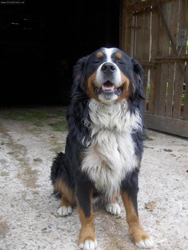 Foto: Sebastian to je pohoda- tak se vždy směju- Sebastian smějící se