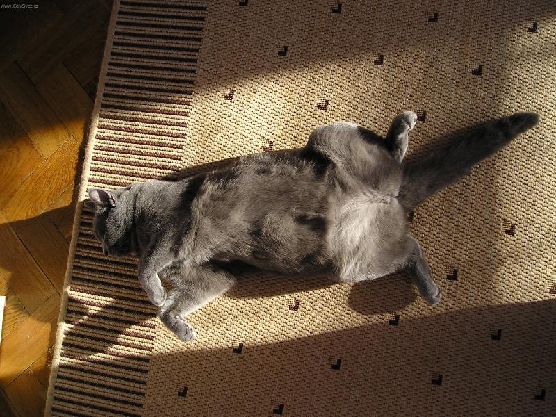 Foto: Unavená,ale spokojená.