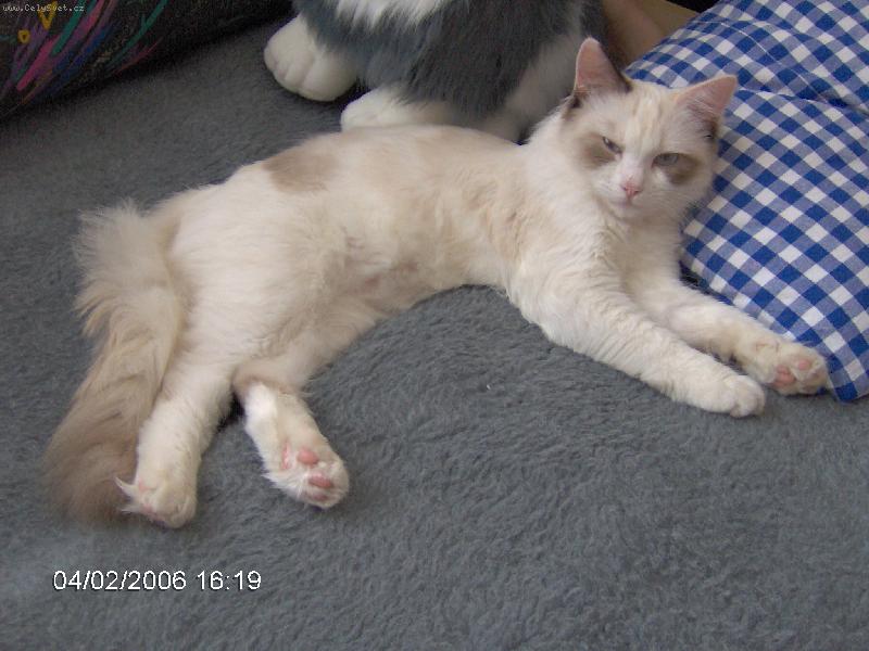 Foto: Megí dělá hají