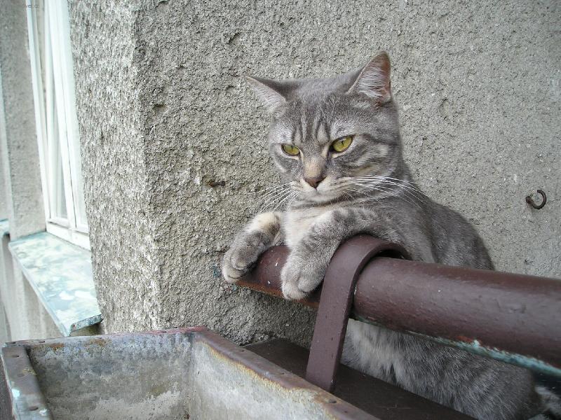 Foto: To je posezeníčko.