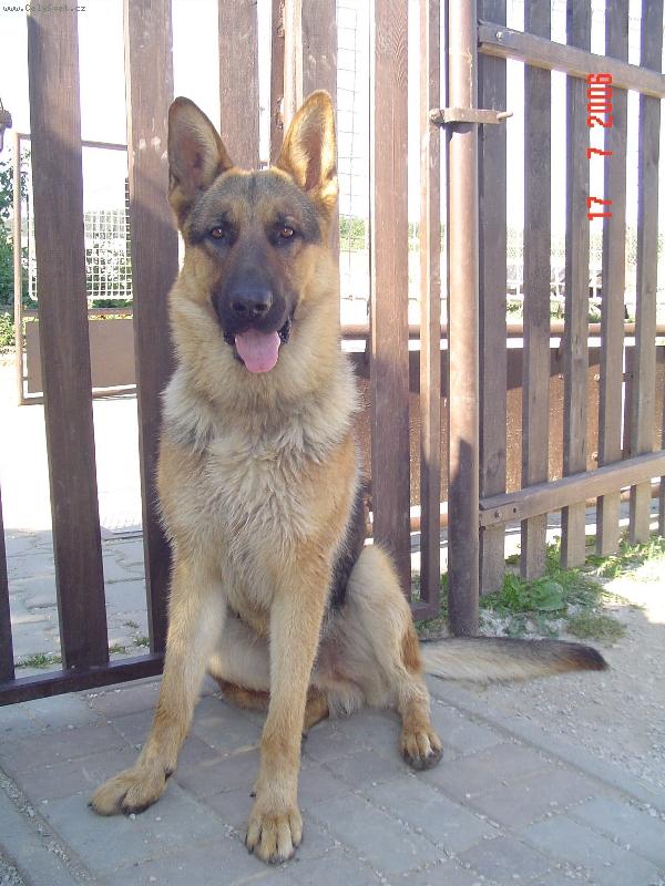 Foto: Zkrátka fešák..