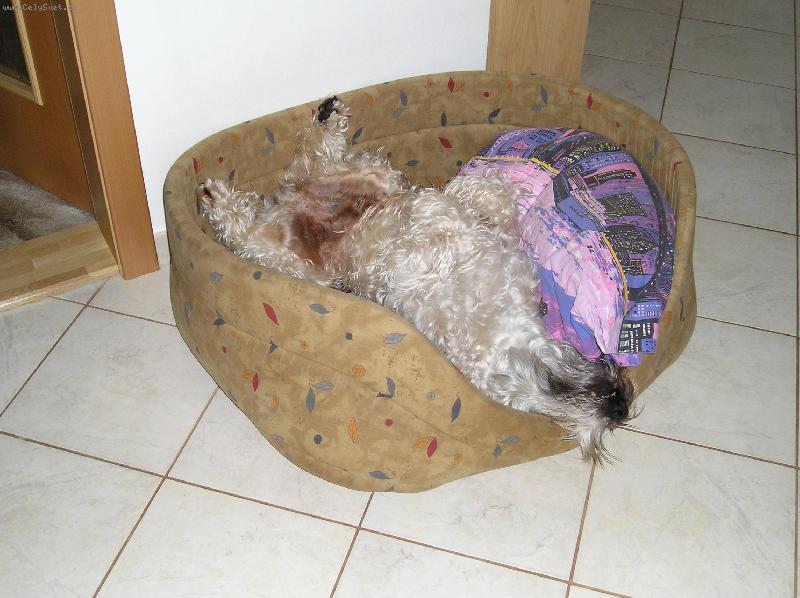 Foto: TEĎ MI NERUŠTE !!!