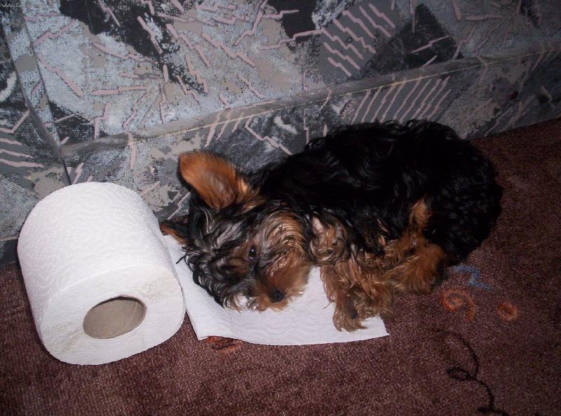 Foto: Brendík-vždy připraven