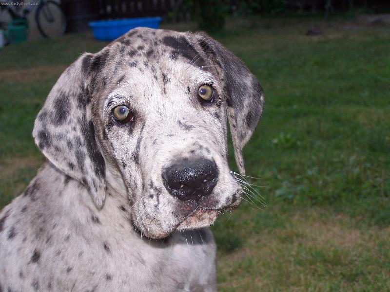 Foto: IGOREK-miminko