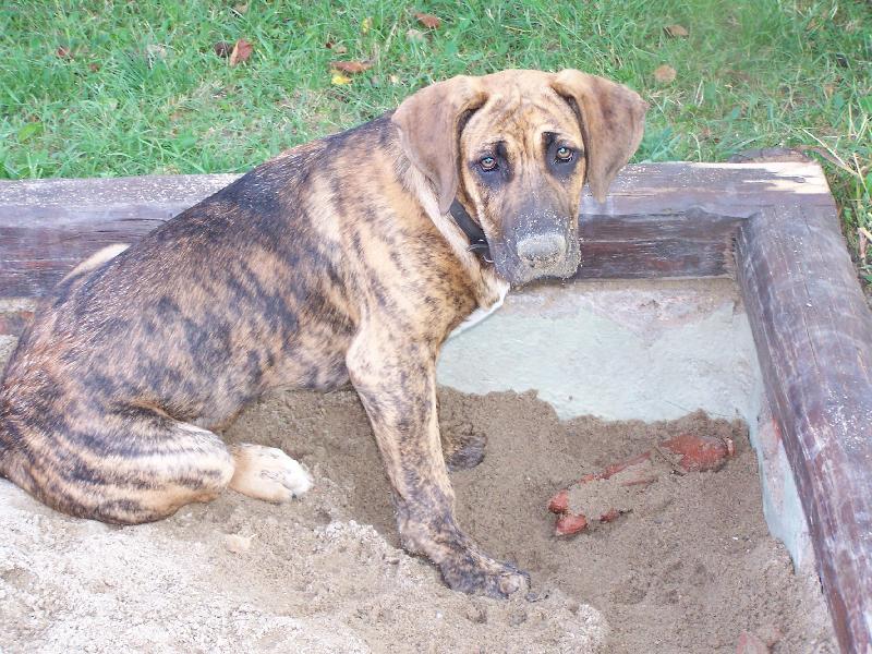 Foto: Fidík-zatím miminko