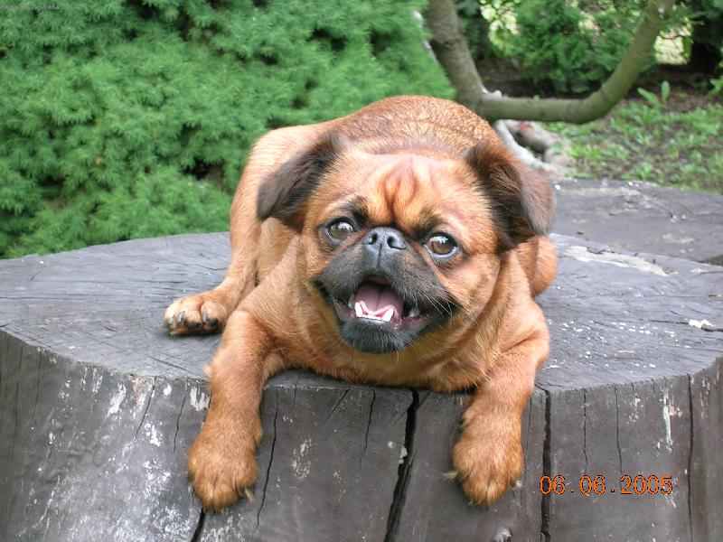 Foto: Pussy-Je to úsměv hvězdy ???